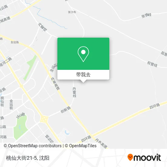 桃仙大街21-5地图