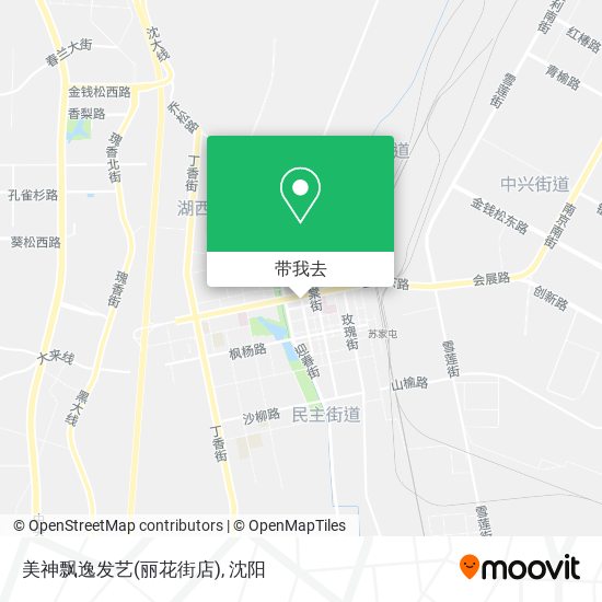 美神飘逸发艺(丽花街店)地图