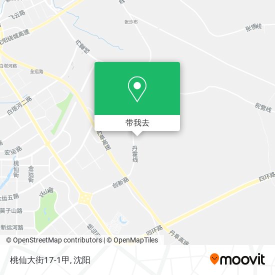 桃仙大街17-1甲地图