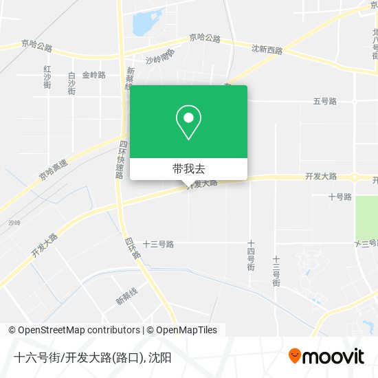十六号街/开发大路(路口)地图