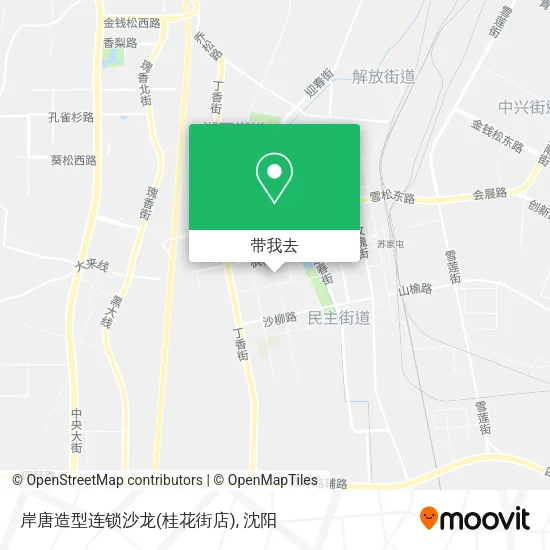 岸唐造型连锁沙龙(桂花街店)地图