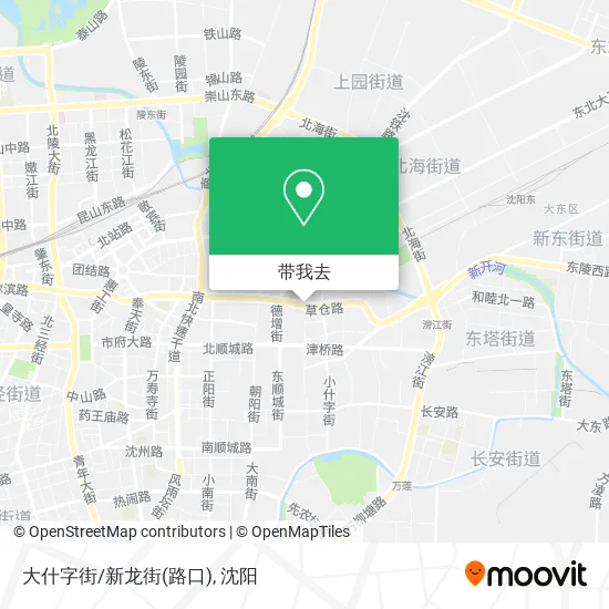 大什字街/新龙街(路口)地图