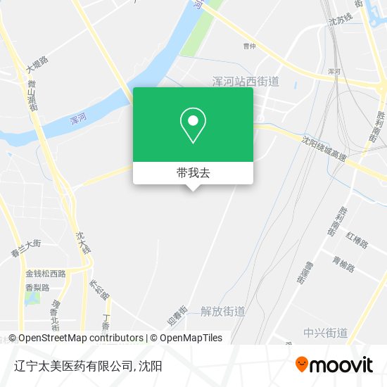 辽宁太美医药有限公司地图
