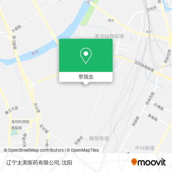 辽宁太美医药有限公司地图