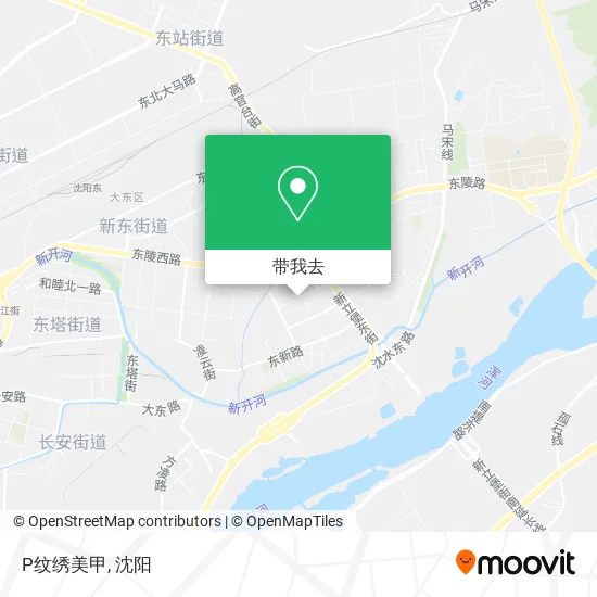 P纹绣美甲地图