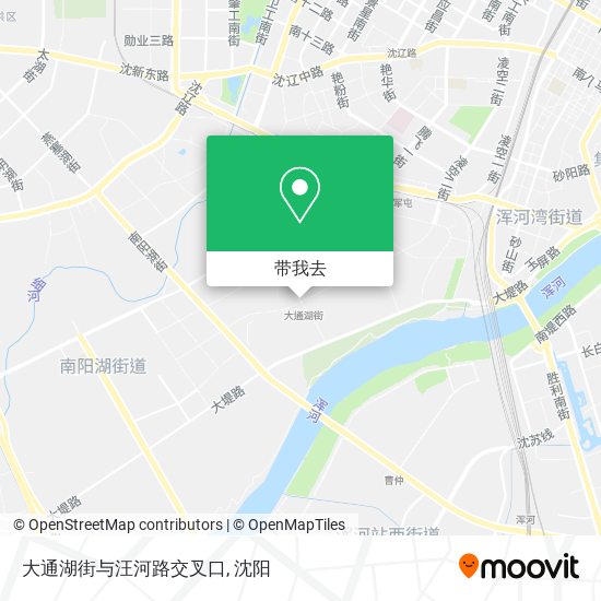 大通湖街与汪河路交叉口地图