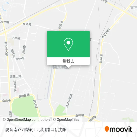 观音南路/鸭绿江北街(路口)地图