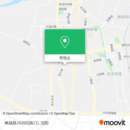 枫杨路/G202(路口)地图