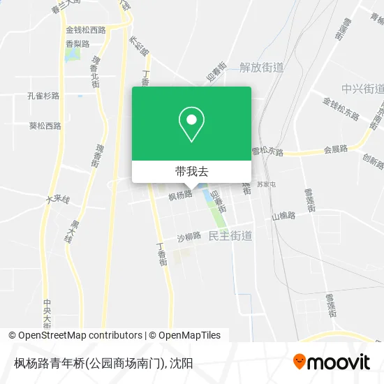 枫杨路青年桥(公园商场南门)地图
