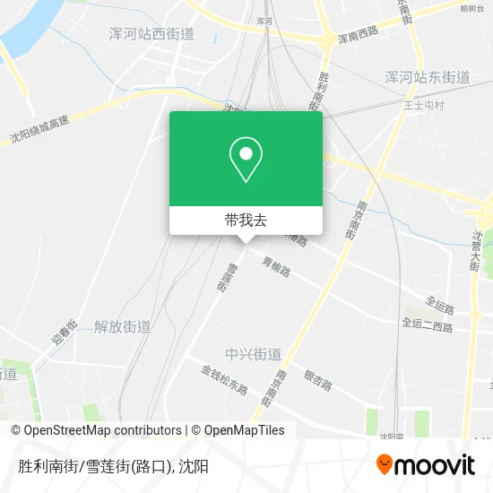 胜利南街/雪莲街(路口)地图