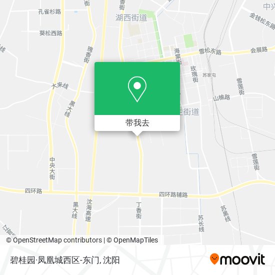 碧桂园·凤凰城西区-东门地图