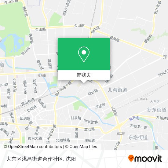 大东区洮昌街道合作社区地图