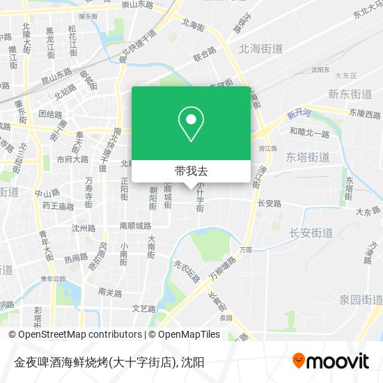 金夜啤酒海鲜烧烤(大十字街店)地图