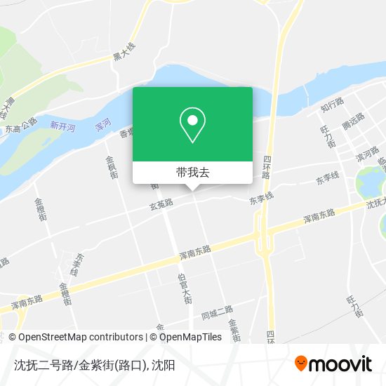沈抚二号路/金紫街(路口)地图