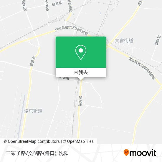 三家子路/文储路(路口)地图