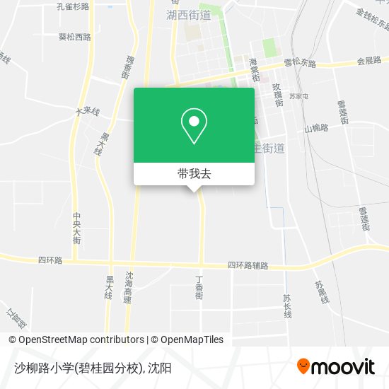 沙柳路小学(碧桂园分校)地图