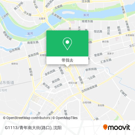 G1113/青年南大街(路口)地图