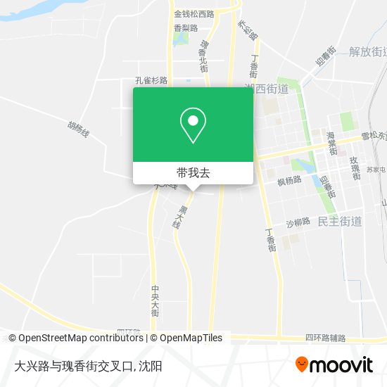 大兴路与瑰香街交叉口地图
