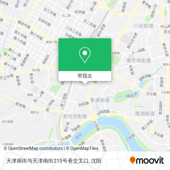 天津南街与天津南街215号巷交叉口地图