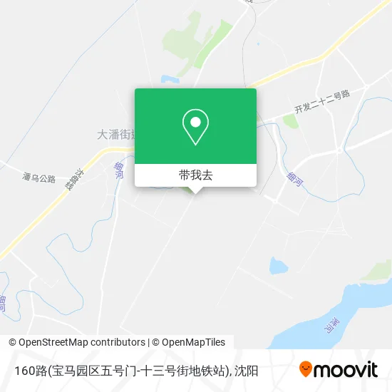 160路(宝马园区五号门-十三号街地铁站)地图