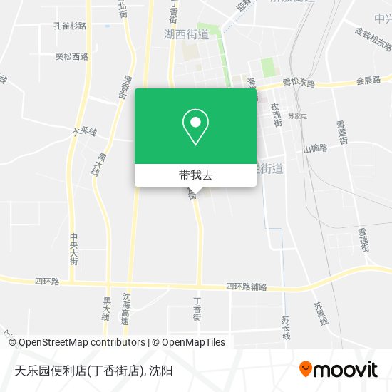 天乐园便利店(丁香街店)地图