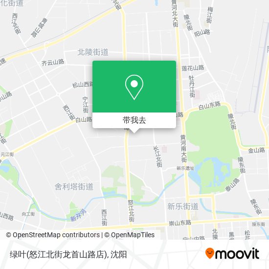 绿叶(怒江北街龙首山路店)地图