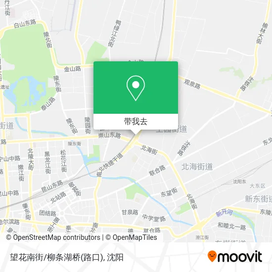 望花南街/柳条湖桥(路口)地图