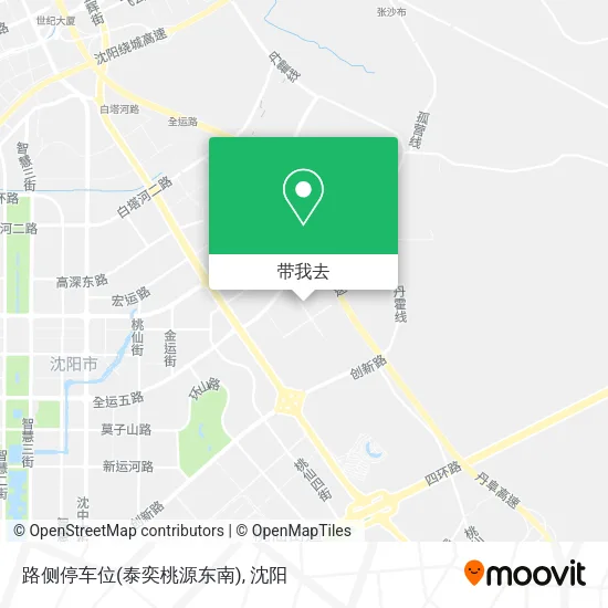 路侧停车位(泰奕桃源东南)地图