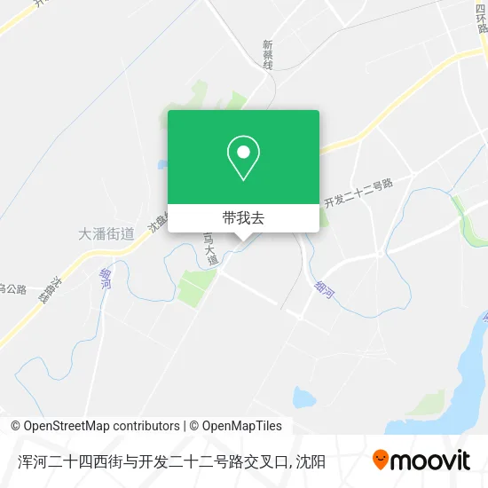 浑河二十四西街与开发二十二号路交叉口地图