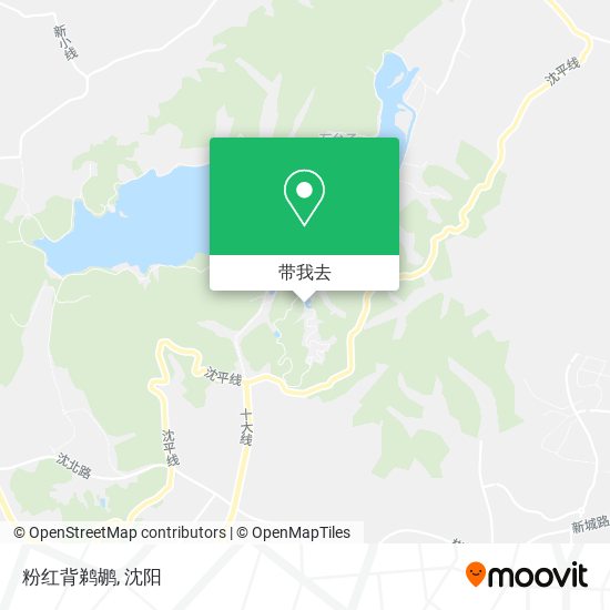 粉红背鹈鹕地图