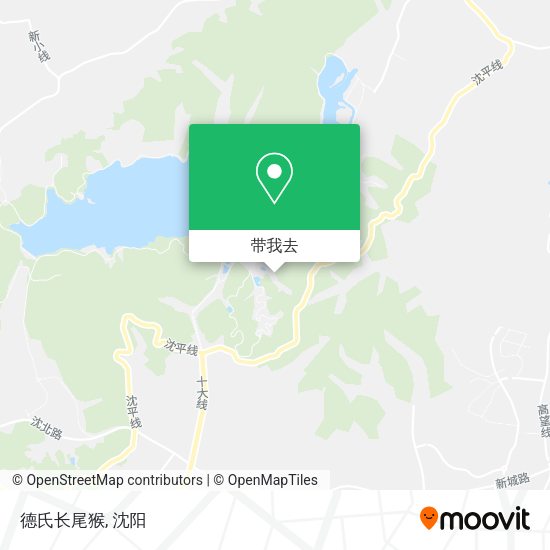 德氏长尾猴地图