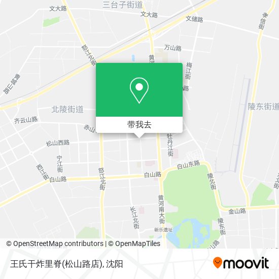 王氏干炸里脊(松山路店)地图