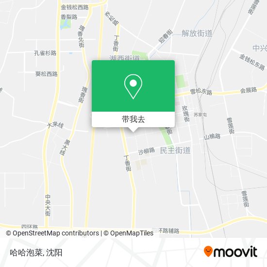 哈哈泡菜地图
