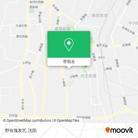 野玫瑰发艺地图