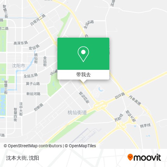 沈本大街地图