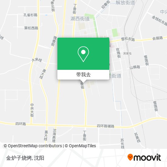 金炉子烧烤地图