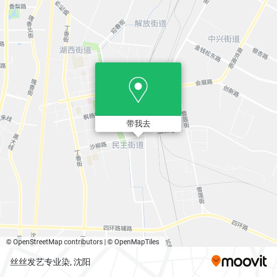 丝丝发艺专业染地图
