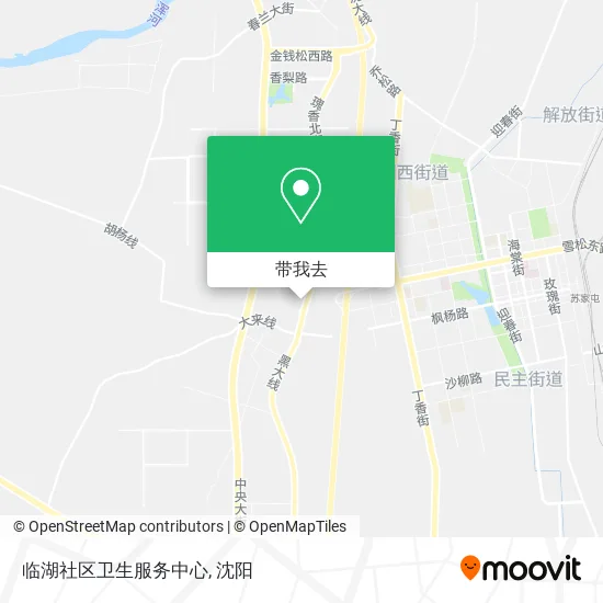 临湖社区卫生服务中心地图