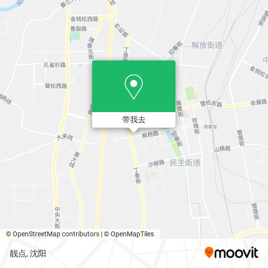 靓点地图
