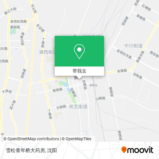 雪松青年桥大药房地图