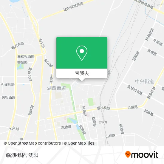 临湖街桥地图