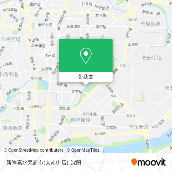 新隆嘉水果超市(大南街店)地图