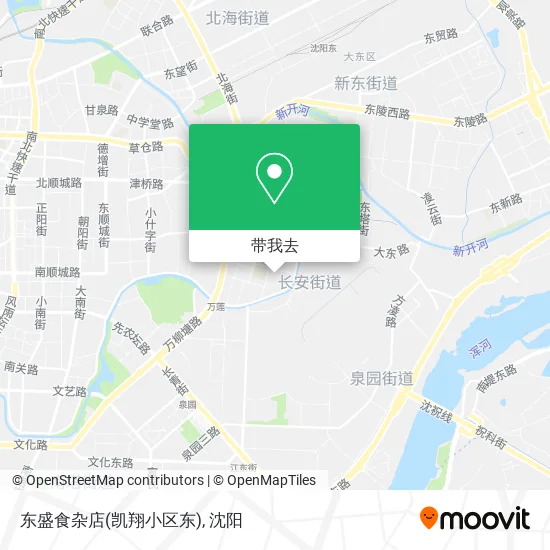 东盛食杂店(凯翔小区东)地图