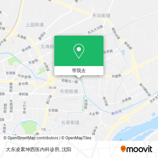 大东凌素坤西医内科诊所地图