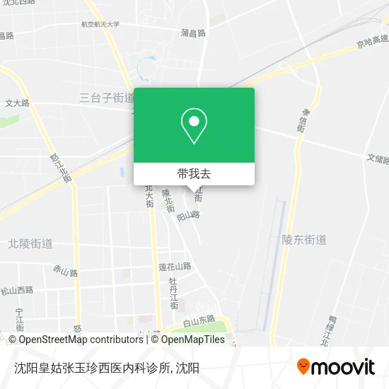 沈阳皇姑张玉珍西医内科诊所地图