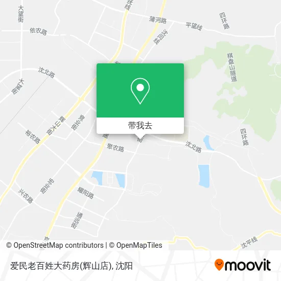 爱民老百姓大药房(辉山店)地图