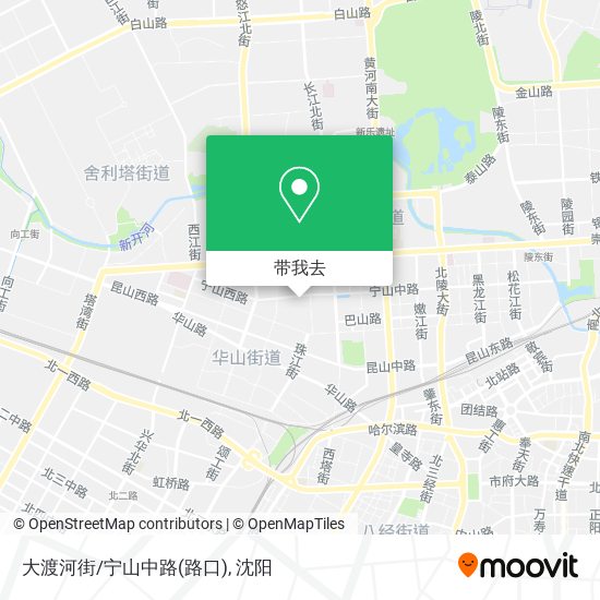 大渡河街/宁山中路(路口)地图