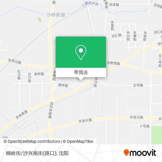 桐岭街/沙兴南街(路口)地图
