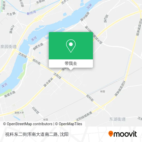 祝科东二街浑南大道南二路地图