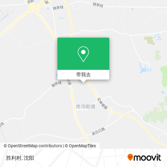 胜利村地图